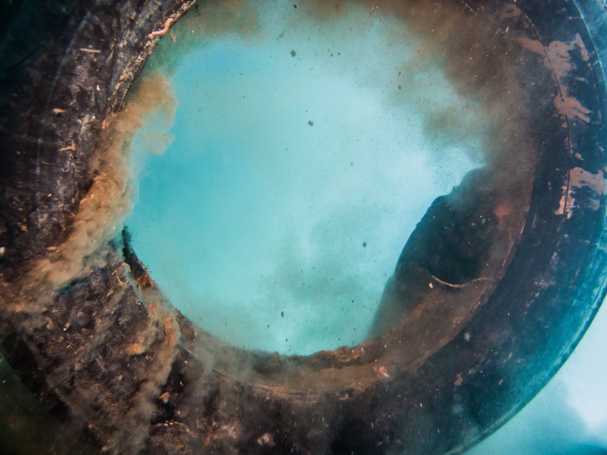 SeaPaCS’s photographic exhibition: Oceanic&nbsp;Assemblages