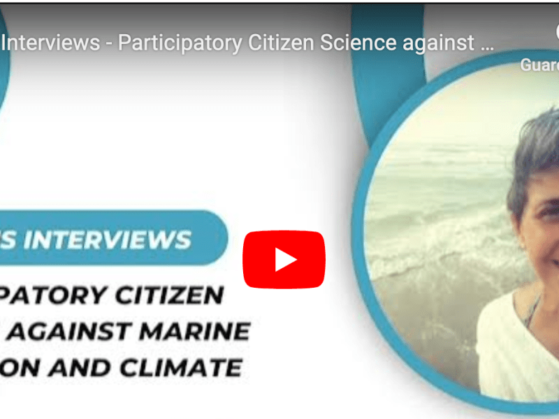 IMPETUS Interview on SeaPaCS now&nbsp;online