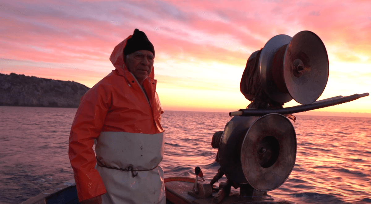 New video reportage “Blue Kinships. Documenting Ocean Relationships”