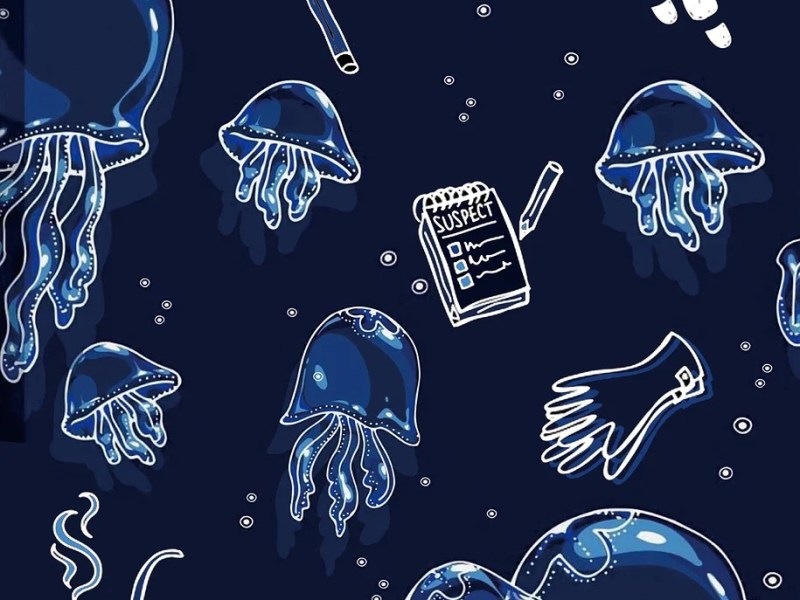 Where Art meets Science for Our Ocean and Seas&nbsp;@RGS2025