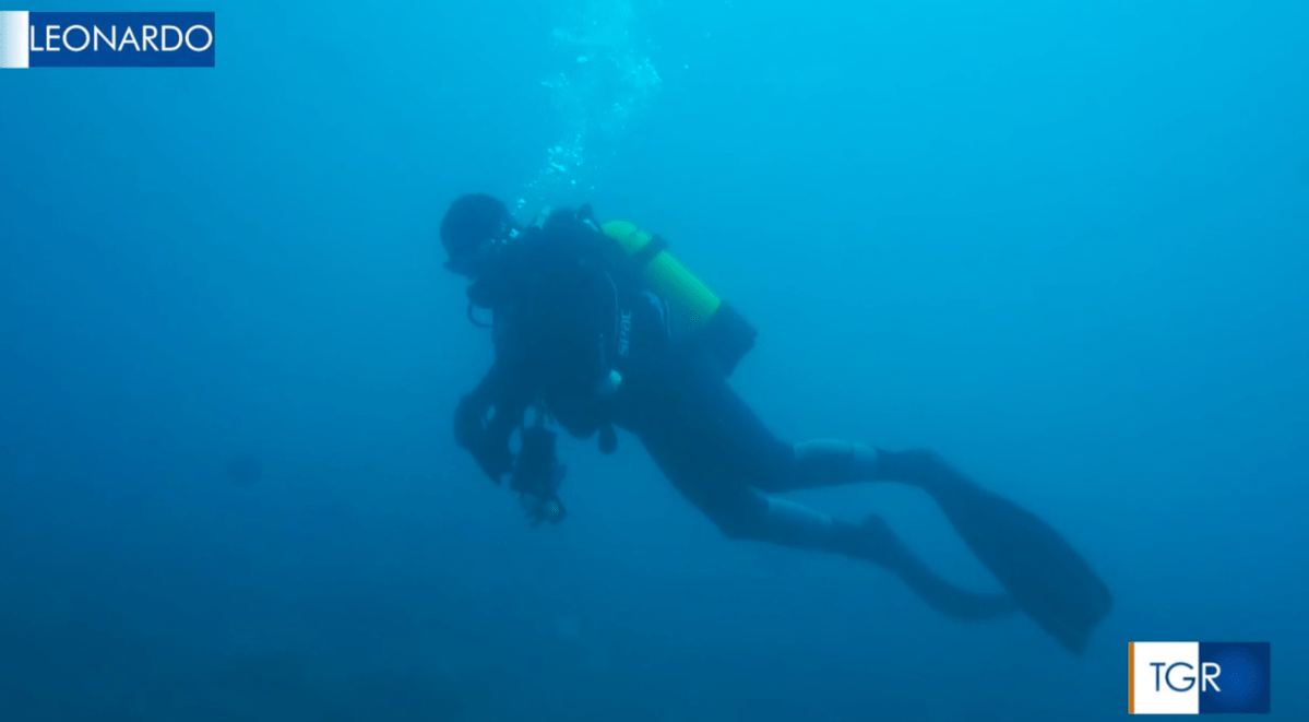 CO>SEA on the sea of Anzio @TG&nbsp;Leonardo